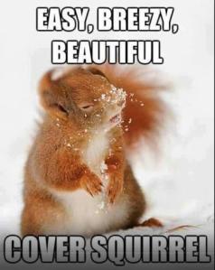 Cover Squirrel