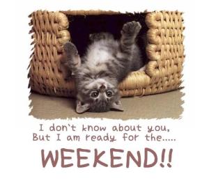 weekend_comment_graphic_07