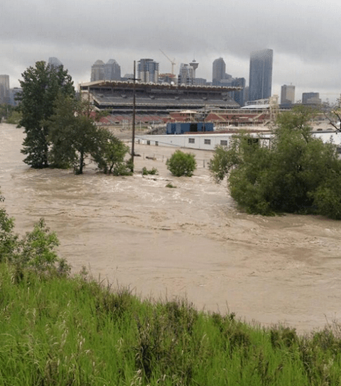 1011714_588457474518726_125014462_n