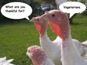 Funny-Thanksgiving-Vegetarian-Way-2