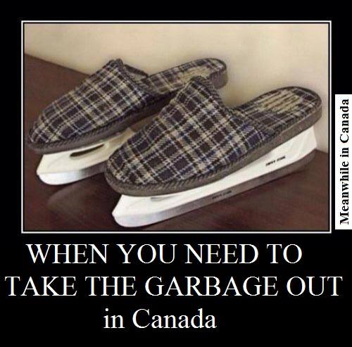 Meanwhile in Canada Garbage