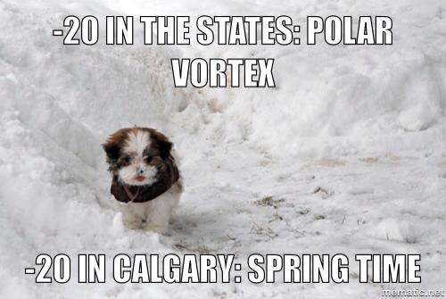 Polar Vortex