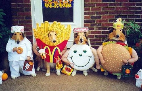animal-costumes-29